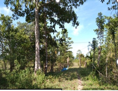 Jalan akses ke Cialam Jaya. | Dok. BPJN Sulawesi Tenggara