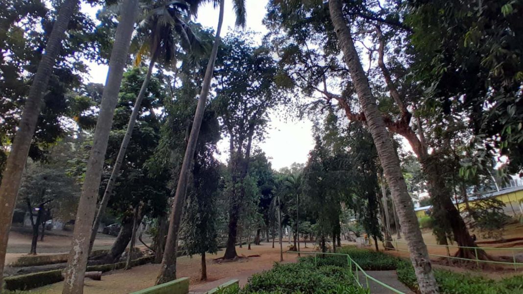 29082023-Taman-Langsat-1-1