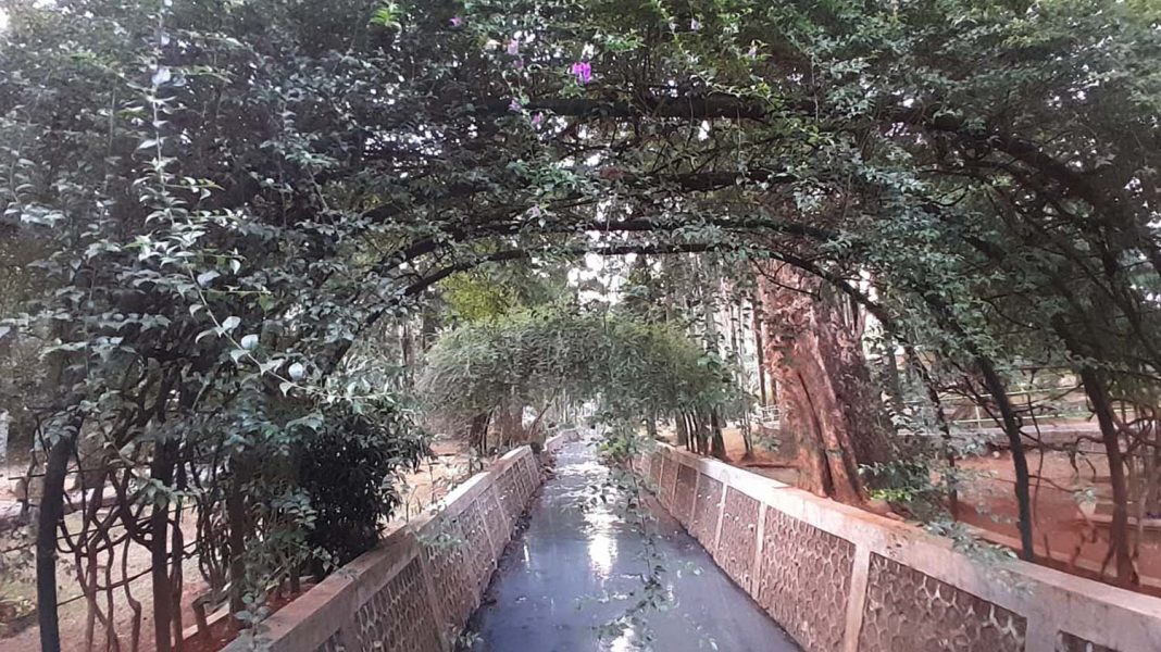 29082023-Taman-Langsat-4